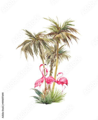 Tropical scene. Illustration with palm tree, exotic leaves and flamingos. Pink birds and jungle flora isolated on white background.