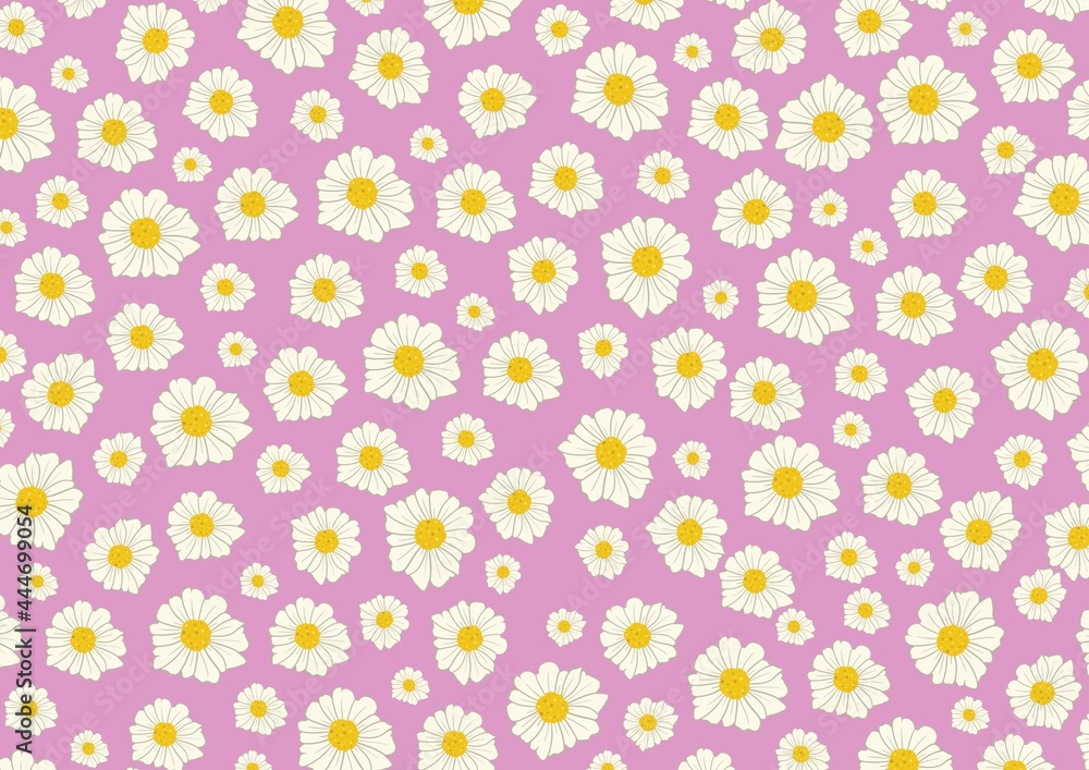 Pattern White small daisies on a delicate purple background. Spring flowers.