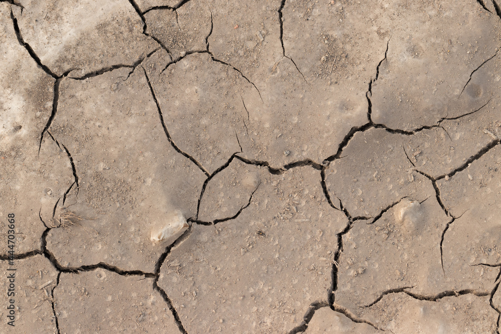 Fototapeta premium dry earth