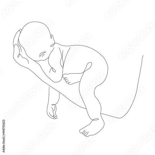 Vector one line art illustration of father holding a new born baby on his heand. Lineart  father and baby