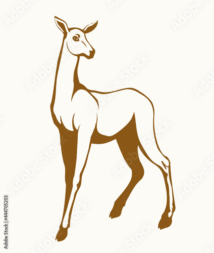 Beautiful female deer. Vector drawing