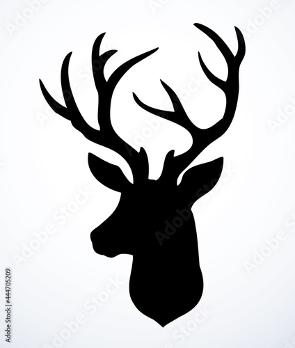 Beautiful noble deer. Vector drawing