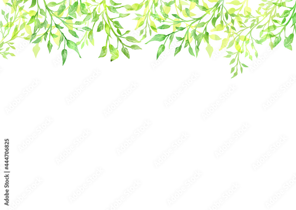 新緑　水彩フレーム