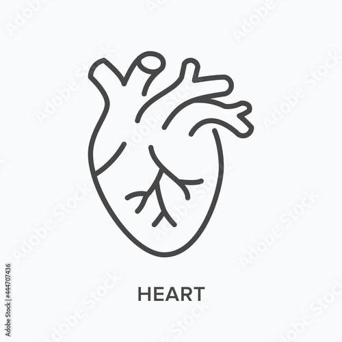 Heart flat line icon. Vector outline illustration of cardio organ. Black thin linear pictogram for cardiovascular system