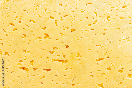 slice of a piece of cheese close - up background backdrop