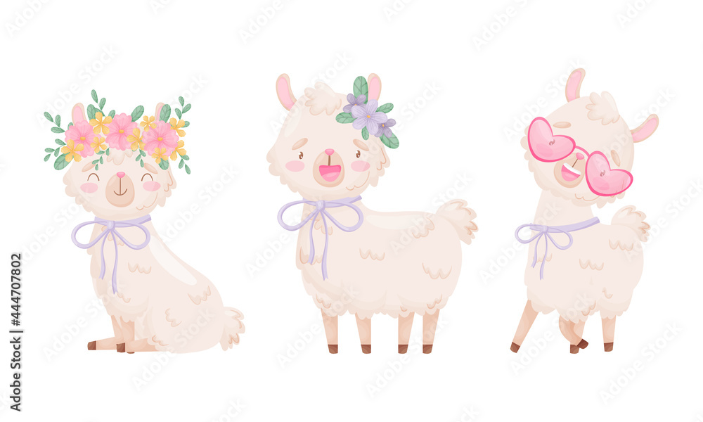 Cute Llama or Alpaca with Flower on Her Head Sitting and Standing Vector Set Cute Llama or Alpaca with Flower on Her Head Sitting and Standing Vector Set