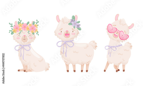 Cute Llama or Alpaca with Flower on Her Head Sitting and Standing Vector Set
