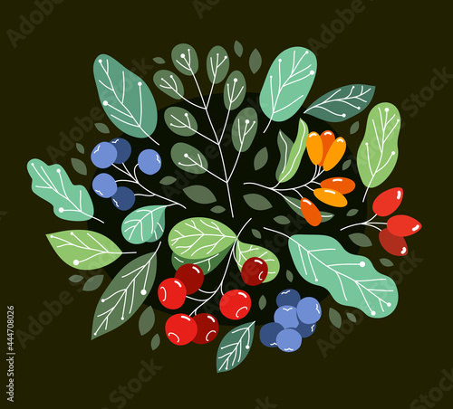 Wild berries fresh and ripe tasty healthy food with leaves vector flat style illustration over dark background, delicious vegetation diet eating, nature gifts.