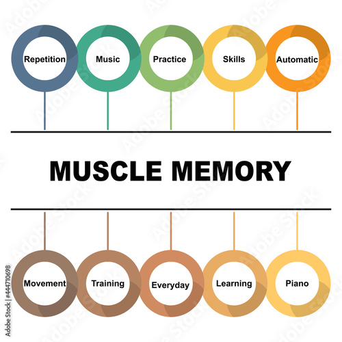 Diagram concept with Muscle Memory text and keywords. EPS 10 isolated on white background