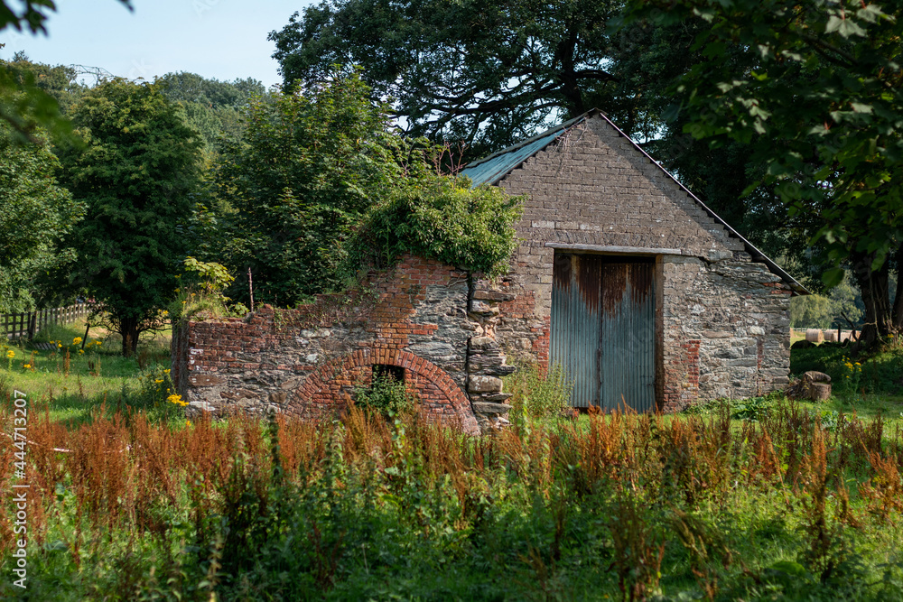 small overgrown barn with red brick and tin doors small overgrown barn with red brick and tin doors
