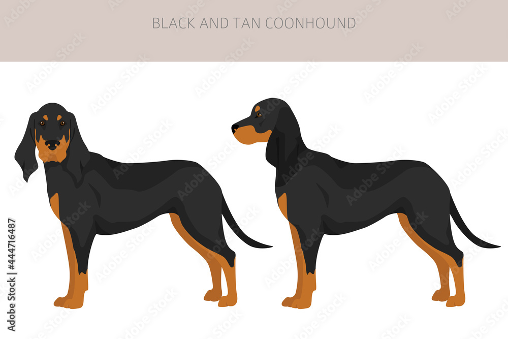 Black and tan coonhound clipart. Different coat colors and poses set