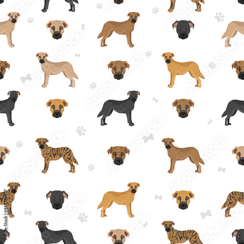 Black mouth cur seamless pattern. Different coat colors and poses set