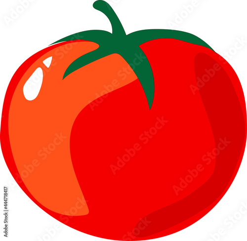 Vector illustration of single fresh tomato isolated on a white background