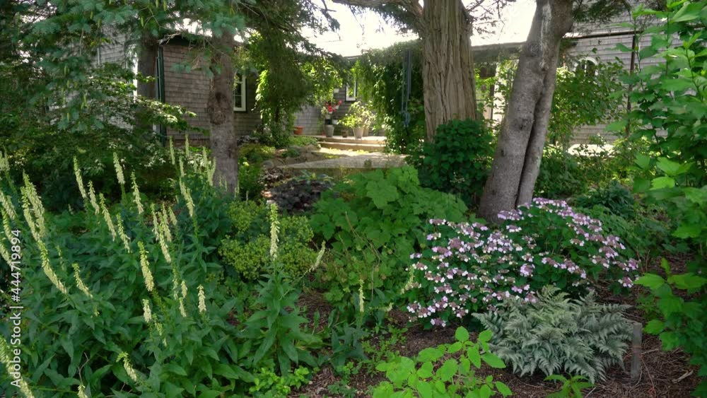 Shade garden and back deck. 4k garden background. Shade garden and back deck. 4k garden background.