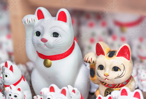 tokyo, japan - july 10 2021: Traditional japanese manekineko on the right and maneki-neko dedicated to gotokuji zen buddhist temple on the left which has a bell and not a coin attached around the neck photo
