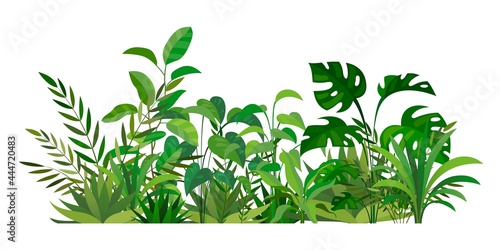 Herbal green decor. Beauty nature ferns and herbs. Tropical greenery with leaves and stems. Summer forest meadow plants. Natural botanical decoration. Vector wild field illustration
