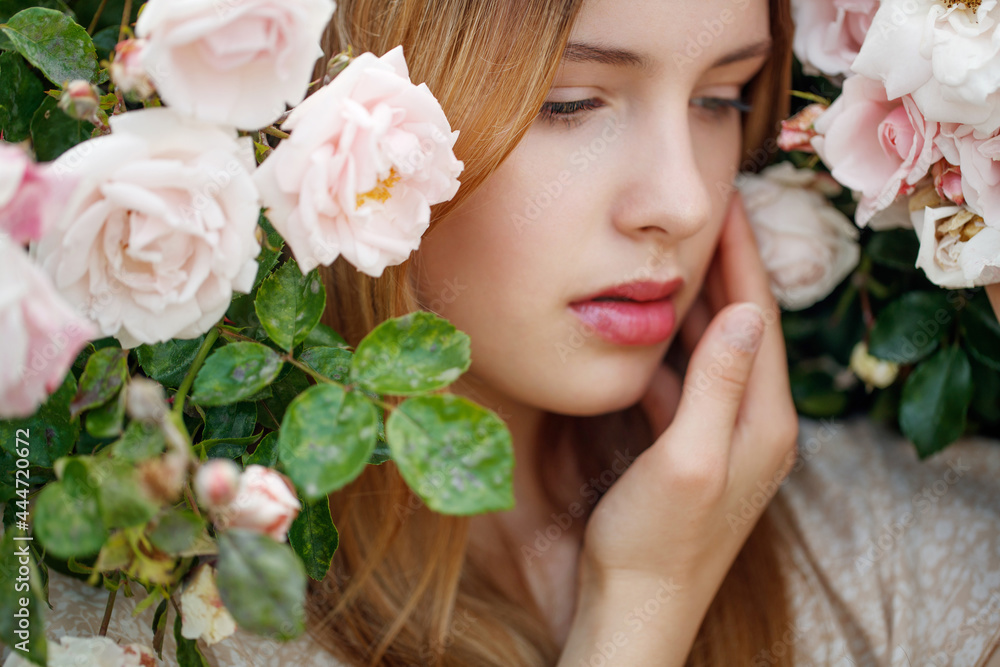 Beautiful young woman smells a rose flower. High quality photo Beautiful young woman smells a rose flower. High quality photo