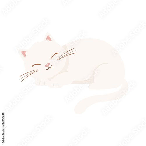 white sleeping cat