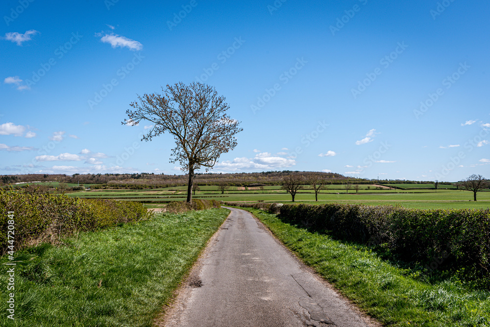 road in the countryside under blue skies
