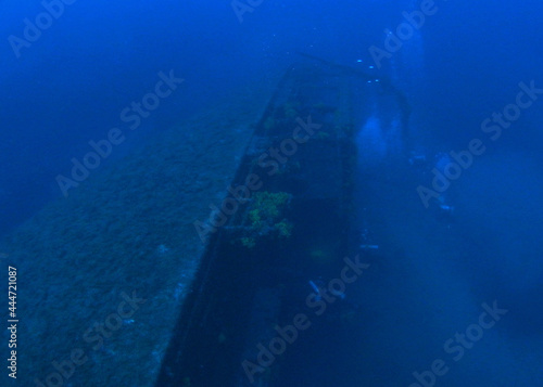 The Wreck of the Brioni, near Vis Island, Adriatic sea, Croatia (60m depth) 
