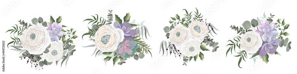 White ranunculus, Asiatic buttercup, succulent eucalyptus, berries, eucalyptus, green plants and leaves. Compositions of flowers on a white background.