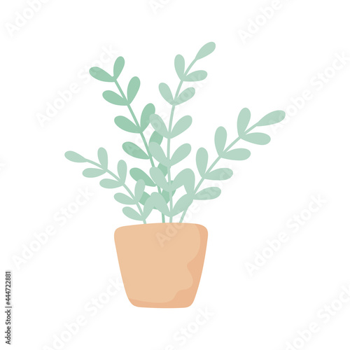 houseplant leaves decoration