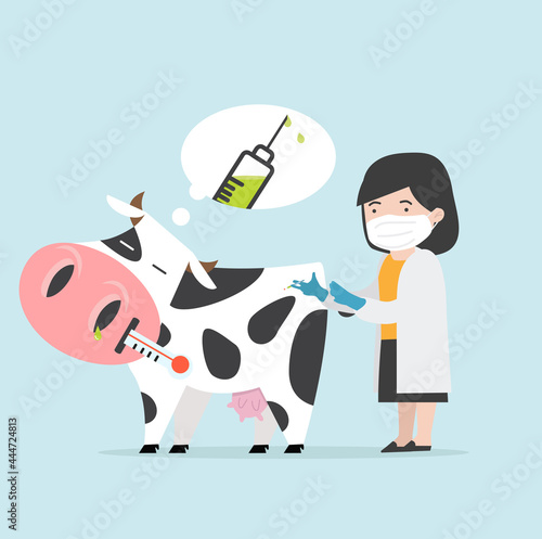 Sick cow Swine Flu with the doctor a vaccination  vector