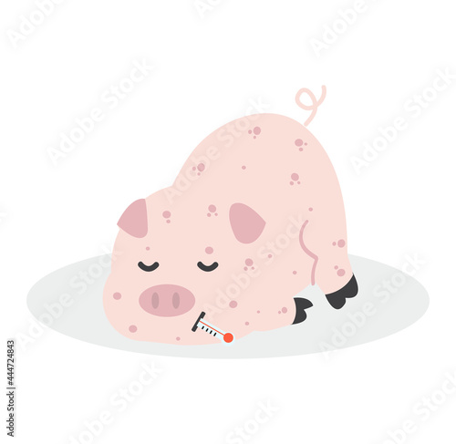 Sick Pig  Swine Flu bacteria virus infected
