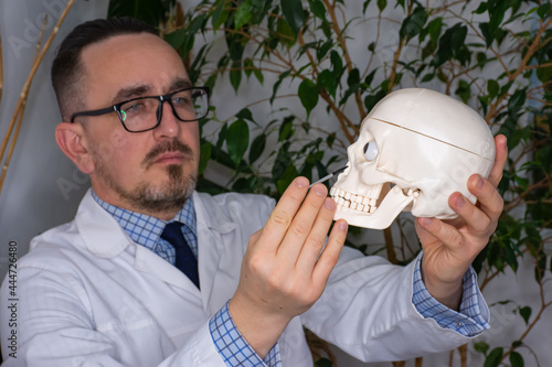 ENT doctor holds a human skull in his hands and shows patient bony nasal cavity. Diagnostics and treatment of ENT diseases of nose such as curvature of the nasal septum, sinusitis, runny nose