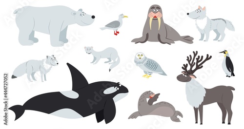 Arctic animals. Polar animal, cartoon cute bear walrus penguin. Flat fun antarctic seal, north pole wildlife. Reindeer fox childish decent vector set