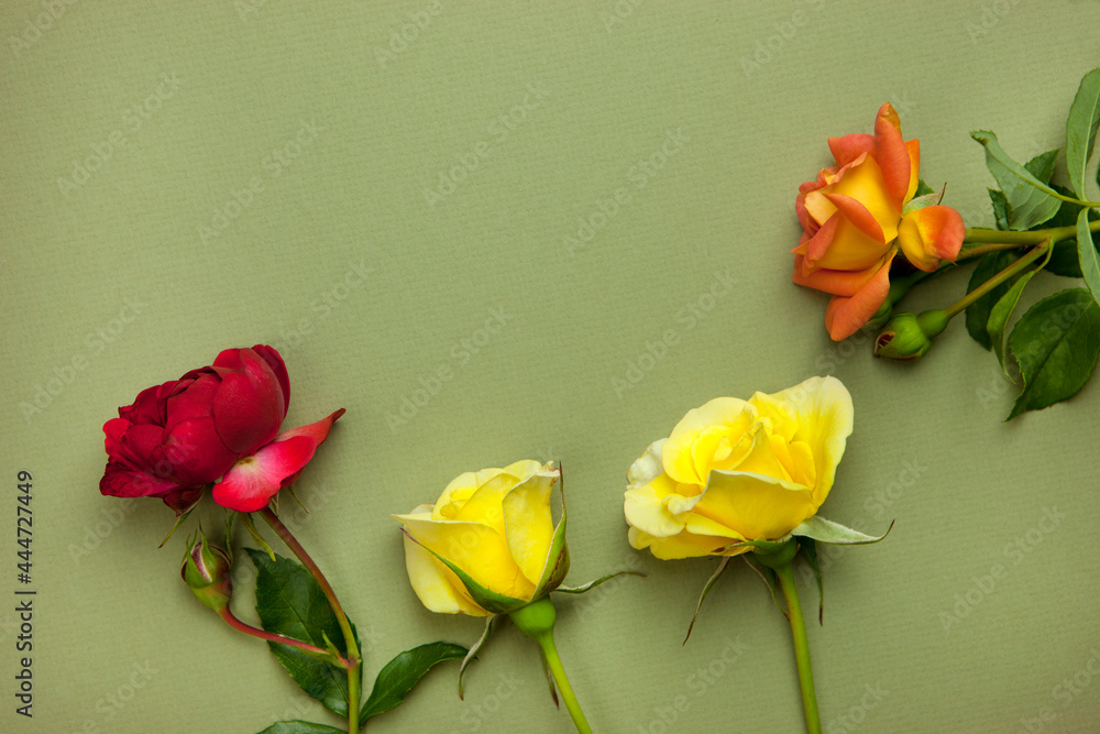 Fototapeta premium Flower arrangement of yellow and red roses and petals on a light green background. The concept of the holiday. Valentine's Day