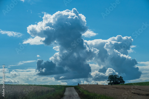 Weg und Wolkenhimmel