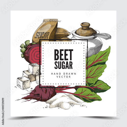 Colorful vector poster or label with advertise of food beet sugar.