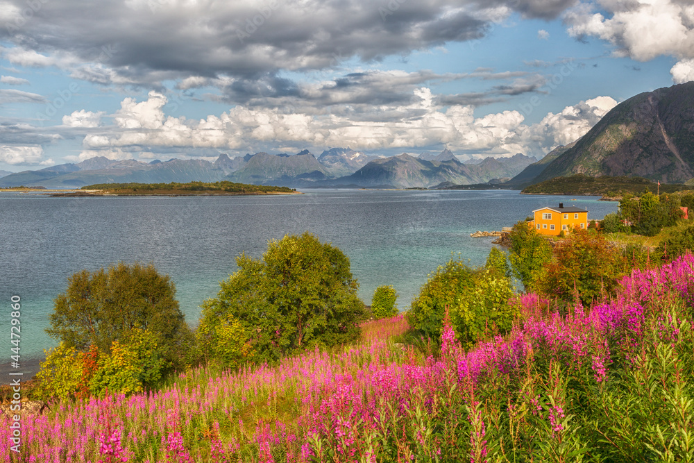 Naklejka premium Beautiful summer Norwegian landscape with a lake, with a yellow house and mountains