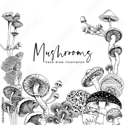 Different mushrooms. Poster, card, t-shirt composition, hand drawn style print. Vector black and white illustration.