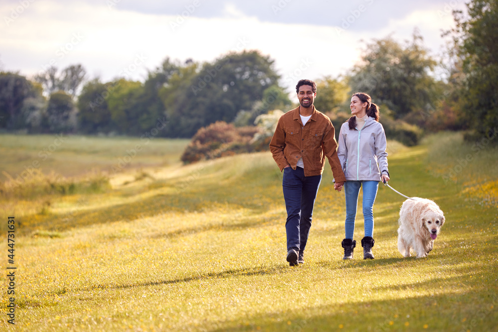 Couple With Pet Golden Retriever Dog Walking Along Path Across Field In Countryside