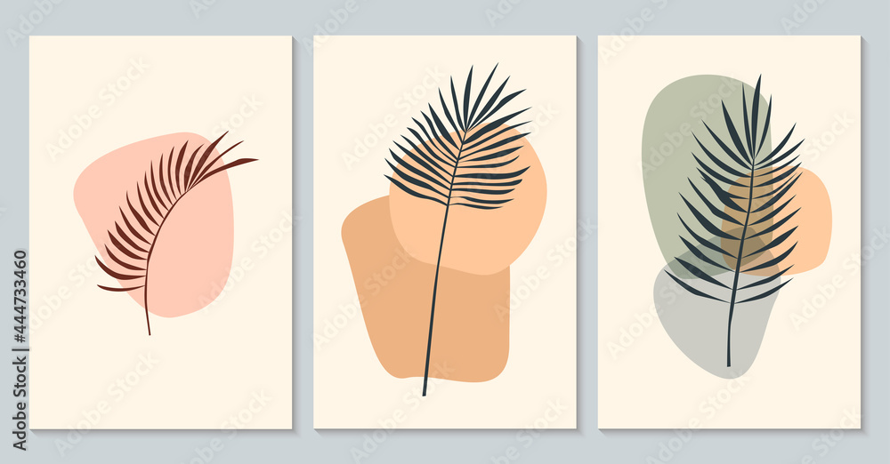 Plant set. Minimalist abstract tropical plant branch pattern background collection