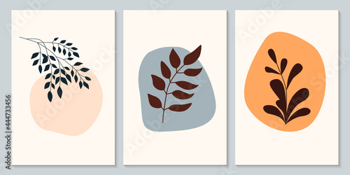 Plant set. Minimalist abstract plant branch pattern background collection