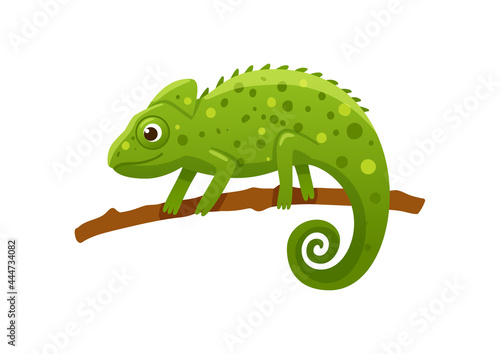 Green funny cartoon chameleon side view, flat vector illustration isolated.