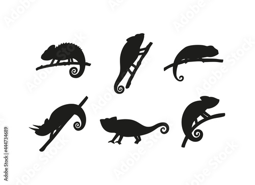 Set of black silhouettes chameleons lizard reptiles sitting on branches.