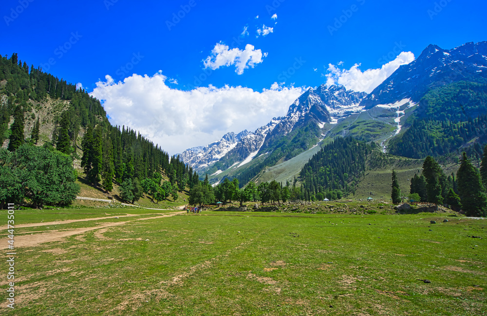 Beautiful mountain scenery. Hiking to the grassland of the destination. In-depth trip on the Sonamarg Hill Trek in Jammu and Kashmir, India, June 2018