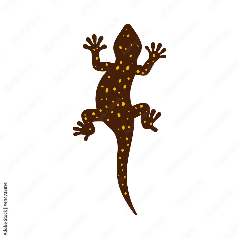 Fototapeta premium Top view of gecko or salamander lizard flat vector illustration isolated.