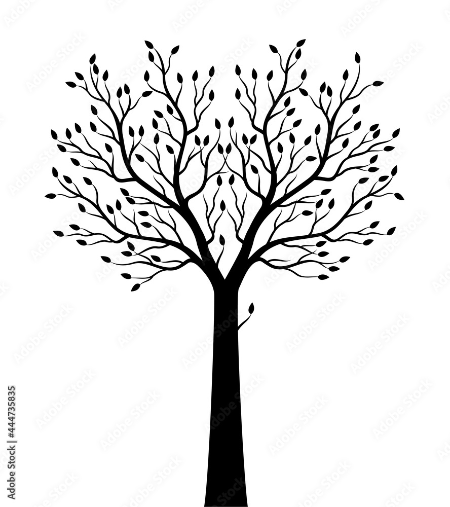 Obraz premium Shape of black Tree. Vector outline Illustration. Plant in Garden.