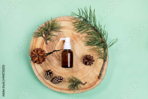 Top view small glass bottle with essential pine oil, branches, cones on wooden saw cut on mint green backdrop.