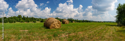 Sunny summer panorama with a field and haystacks