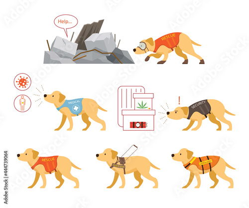 Assistance Dogs Set,  Medical, Rescue, Guide, Security and Guard