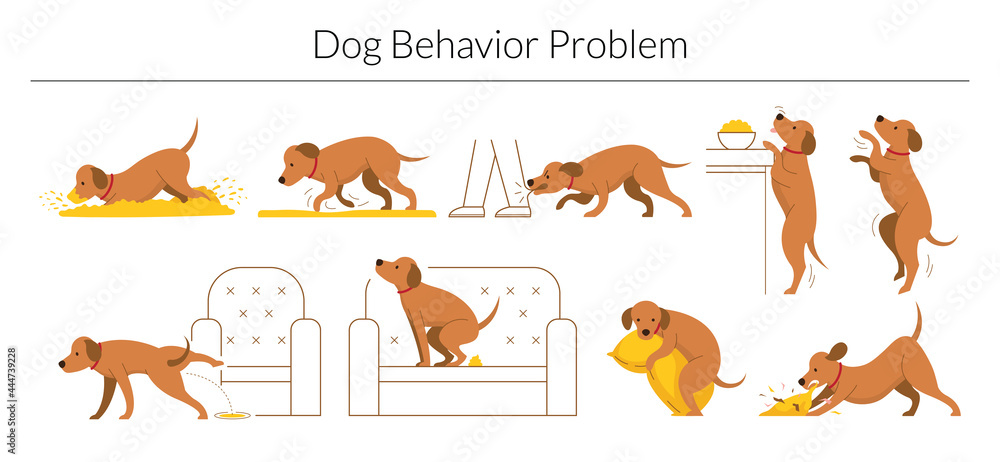 Dog Ripping Dog Behavior Problem Set, Digging, Destroying, Biting, Pee and Poop ...