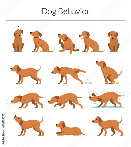 Slika na platnu Dog Behavior Set,Various Action and Posture, Body Language