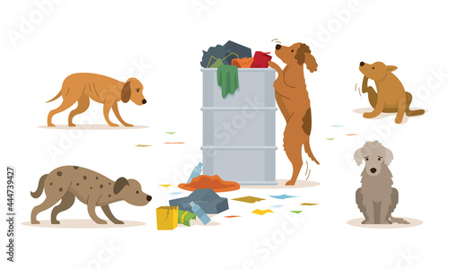 Group of Stray Dogs Rummage a Trash Can, Homeless