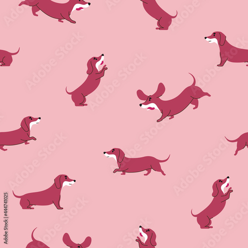 Seamless dog pattern with dachshund in different poses, runs, walks and sits. Vector pattern